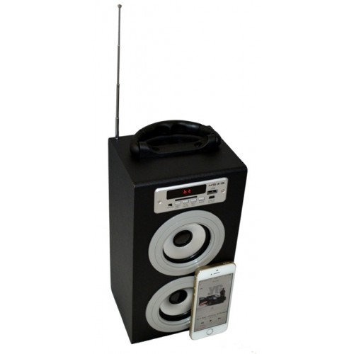 Акустическая система KS-is Fiacoo (KS-219) Bluetooth/FM радио